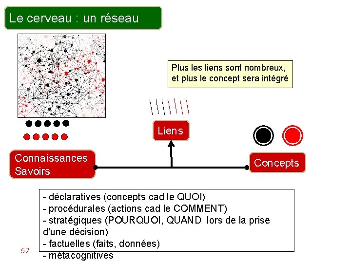 Le cerveau : un réseau Plus les liens sont nombreux, et plus le concept