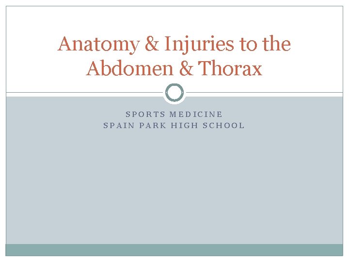 Anatomy & Injuries to the Abdomen & Thorax SPORTS MEDICINE SPAIN PARK HIGH SCHOOL