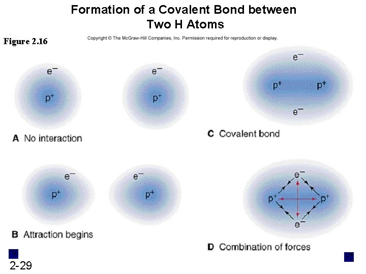 Formation of a Covalent Bond between Two H Atoms Figure 2. 16 2 -29