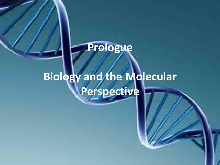 Prologue Biology and the Molecular Perspective 