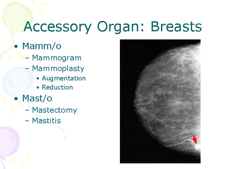 Accessory Organ: Breasts • Mamm/o – Mammogram – Mammoplasty • Augmentation • Reduction •