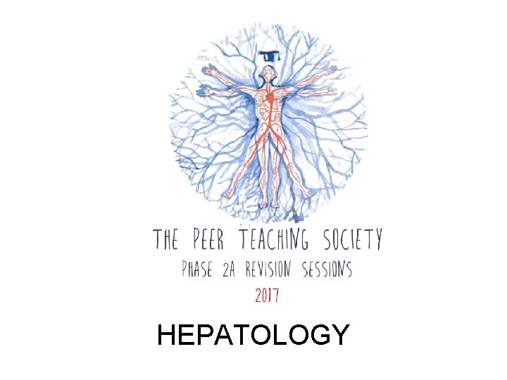 HEPATOLOGY 