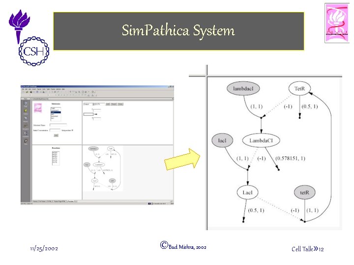 Sim. Pathica System 11/25/2002 ©Bud Mishra, 2002 Cell Talk» 12 