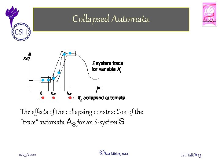 Collapsed Automata The effects of the collapsing construction of the “trace” automata AS for