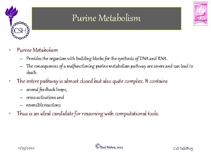 Purine Metabolism • Purine Metabolism – Provides the organism with building blocks for the