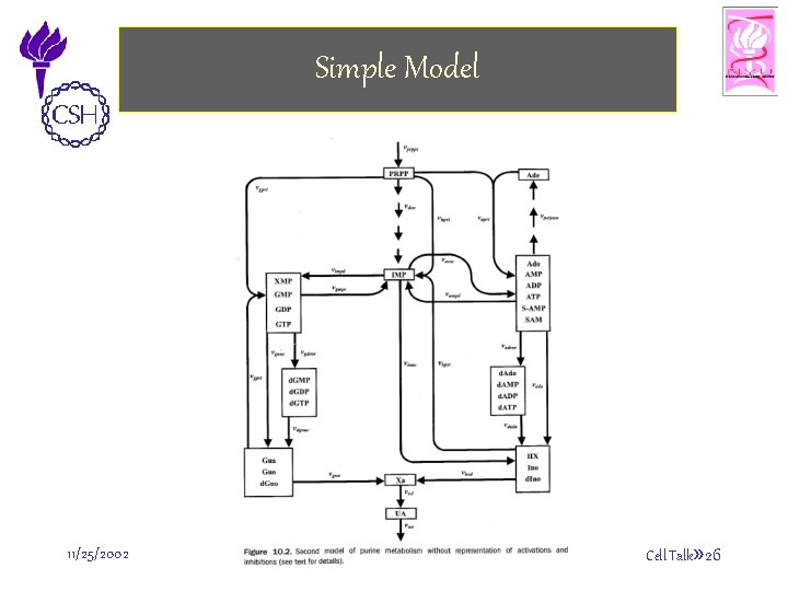 Simple Model 11/25/2002 ©Bud Mishra, 2002 Cell Talk» 26 