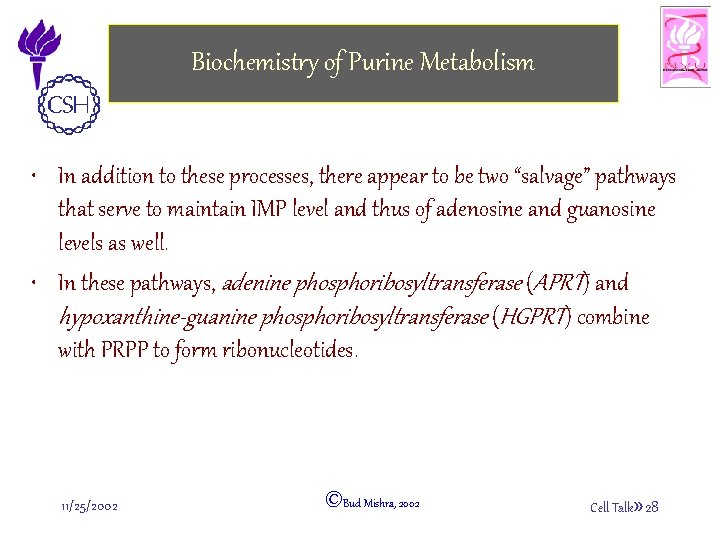 Biochemistry of Purine Metabolism • In addition to these processes, there appear to be