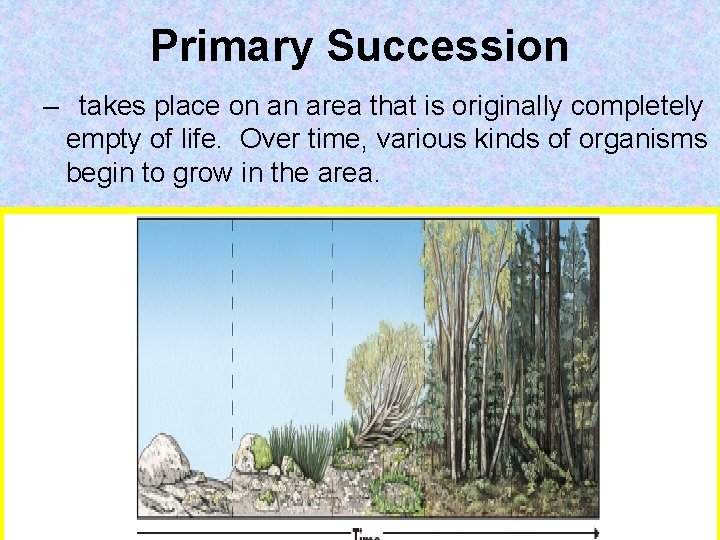 Primary Succession – takes place on an area that is originally completely empty of