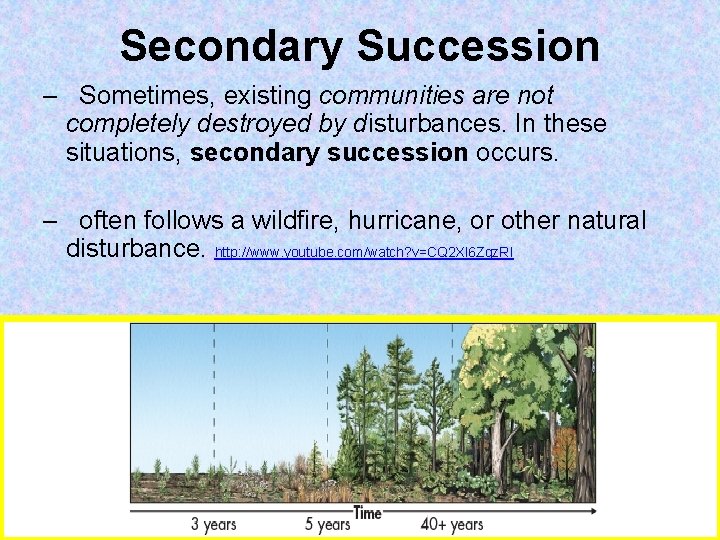 Secondary Succession – Sometimes, existing communities are not completely destroyed by disturbances. In these