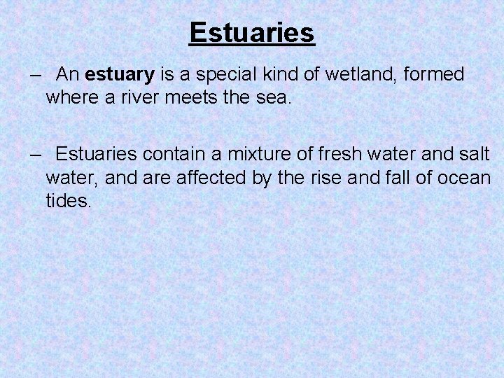 Estuaries – An estuary is a special kind of wetland, formed where a river