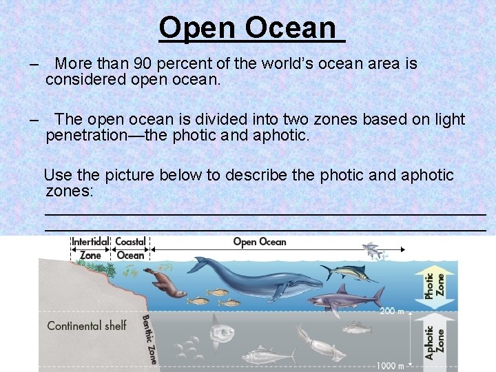 Open Ocean – More than 90 percent of the world’s ocean area is considered