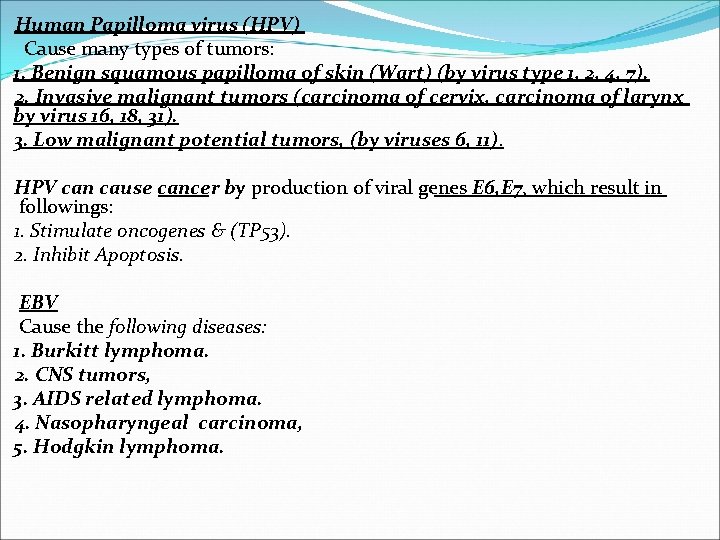 Human Papilloma virus (HPV) Cause many types of tumors: 1. Benign squamous papilloma of