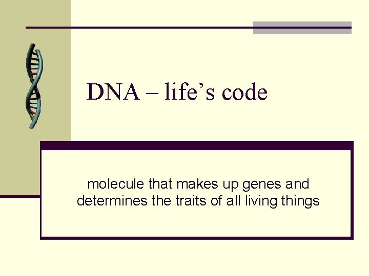 DNA – life’s code molecule that makes up genes and determines the traits of