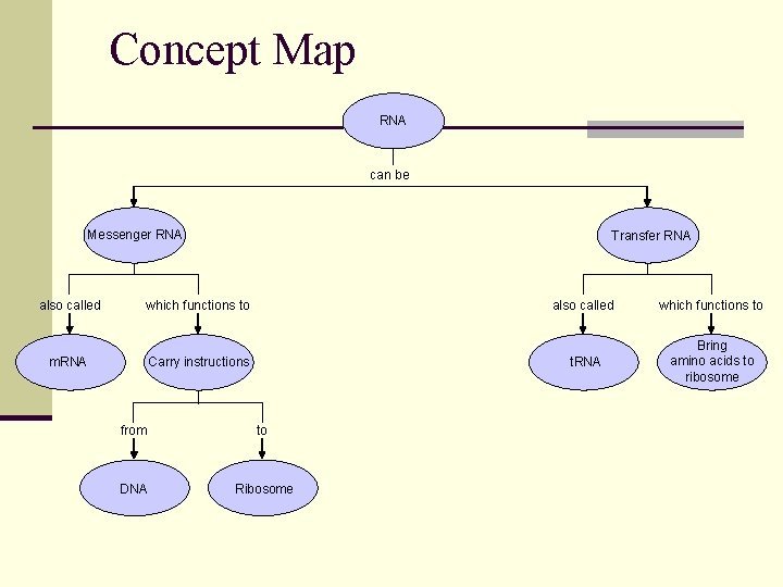 Concept Map Section 12 -3 RNA can be Messenger RNA also called Transfer RNA