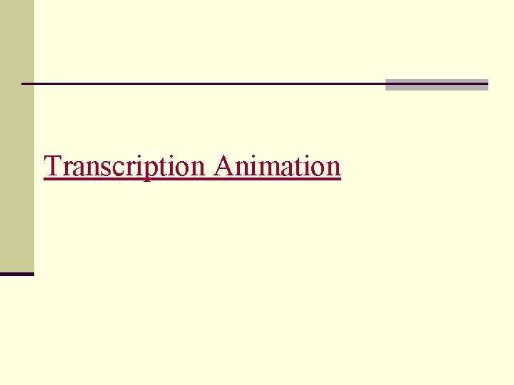 Transcription Animation 