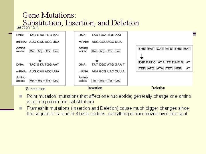 Gene Mutations: Substitution, Insertion, and Deletion Section 12 -4 Substitution Insertion Deletion Point mutation-