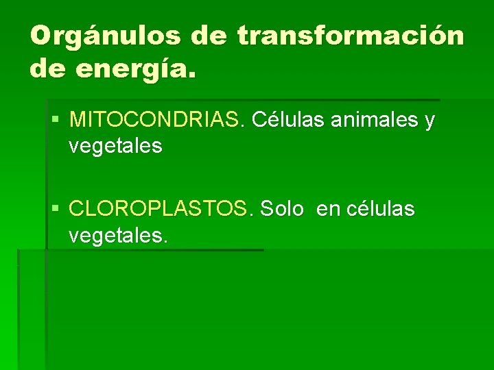 Orgánulos de transformación de energía. § MITOCONDRIAS. Células animales y vegetales § CLOROPLASTOS. Solo