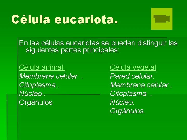 Célula eucariota. En las células eucariotas se pueden distinguir las siguientes partes principales: Célula