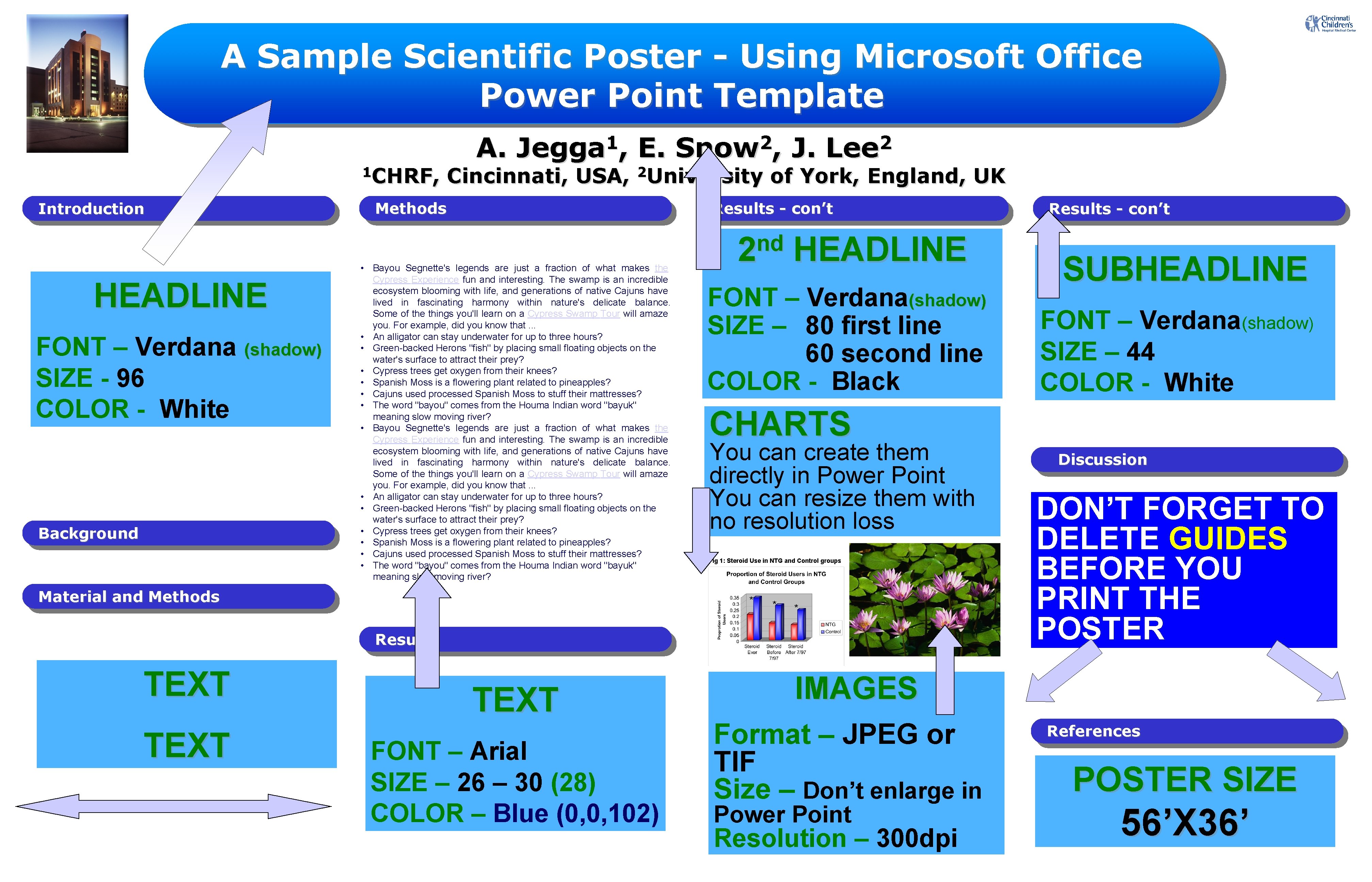 A Sample Scientific Poster - Using Microsoft Office Power Point Template 1 CHRF, Introduction