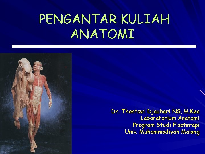 PENGANTAR KULIAH ANATOMI Dr. Thontowi Djauhari NS, M. Kes Laboratorium Anatomi Program Studi Fisoterapi