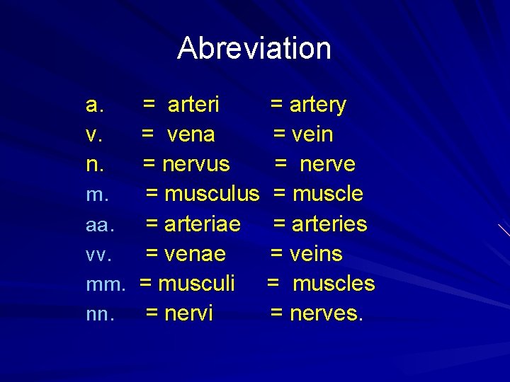 Abreviation a. v. n. = arteri = artery = vena = vein = nervus