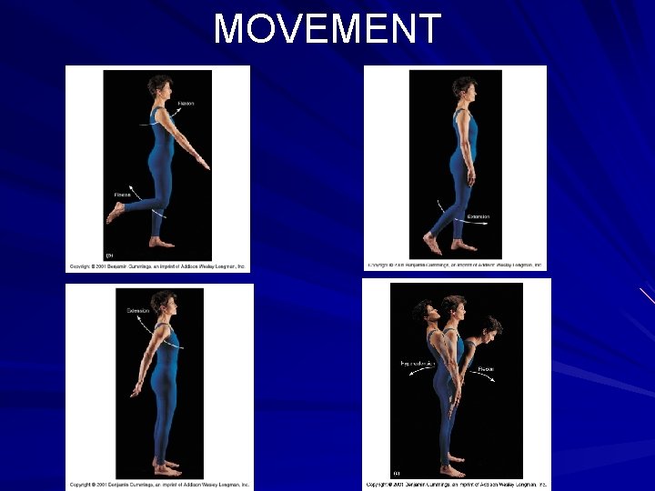 MOVEMENT 