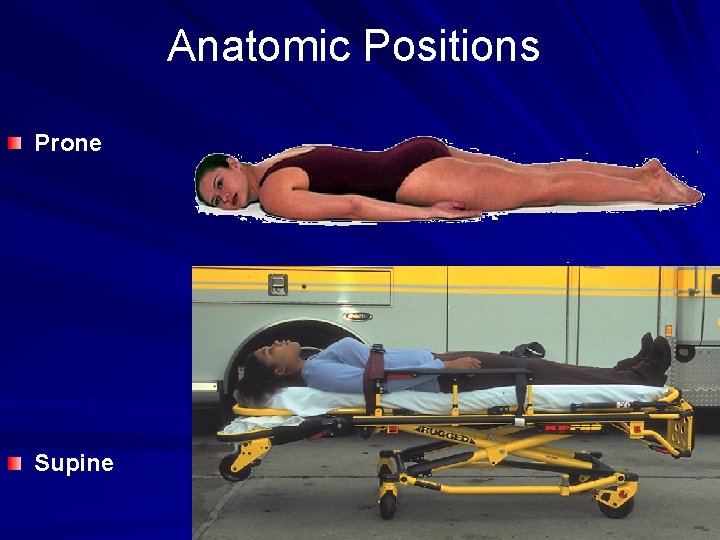 Anatomic Positions Prone Supine 