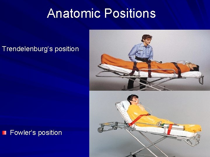 Anatomic Positions Trendelenburg’s position Fowler’s position 