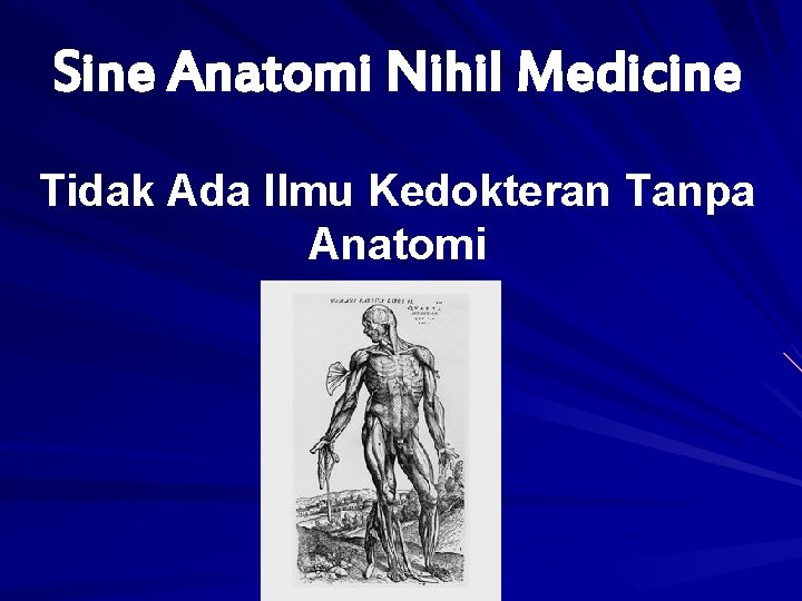 Sine Anatomi Nihil Medicine Tidak Ada Ilmu Kedokteran Tanpa Anatomi 