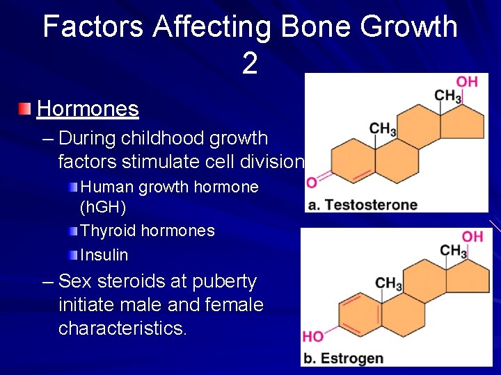Factors Affecting Bone Growth 2 Hormones – During childhood growth factors stimulate cell division.