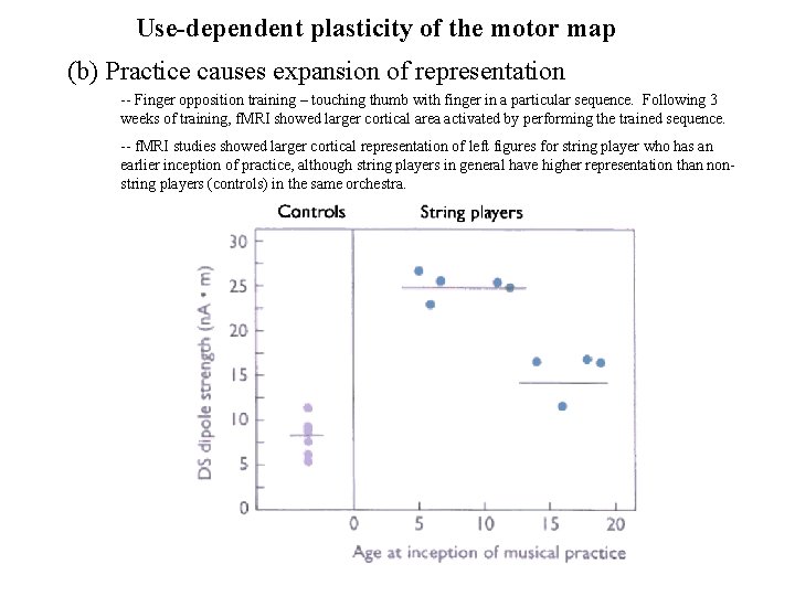 Use-dependent plasticity of the motor map (b) Practice causes expansion of representation -- Finger