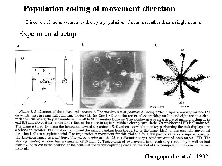Population coding of movement direction -Direction of the movement coded by a population of