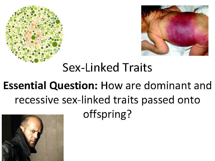Sex-Linked Traits Essential Question: How are dominant and recessive sex-linked traits passed onto offspring? Sex-Linked Traits Essential Question: How are dominant and recessive sex-linked traits passed onto offspring?