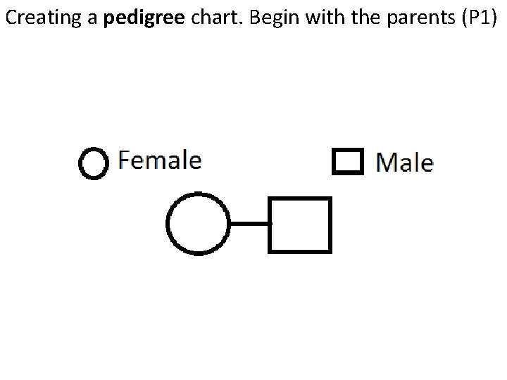 Creating a pedigree chart. Begin with the parents (P 1) Creating a pedigree chart. Begin with the parents (P 1)