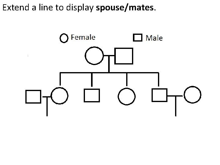 Extend a line to display spouse/mates. Extend a line to display spouse/mates.