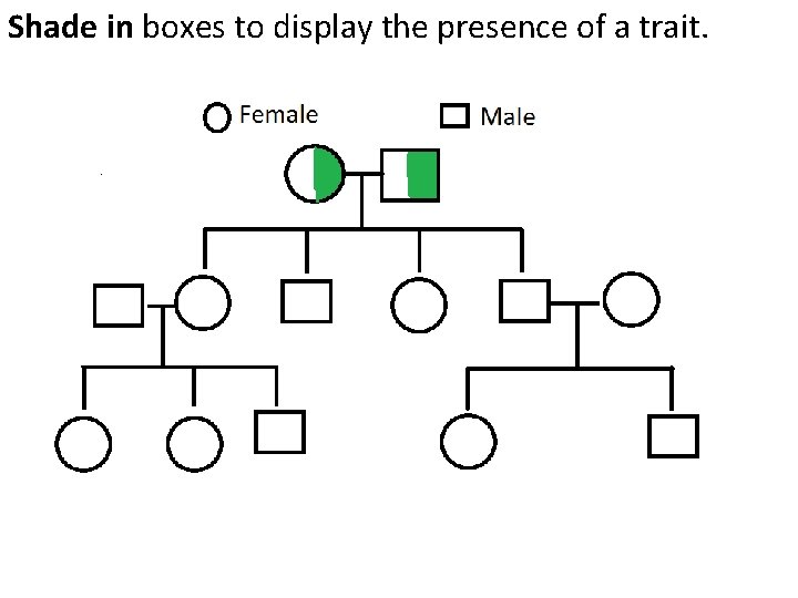 Shade in boxes to display the presence of a trait. Shade in boxes to display the presence of a trait.