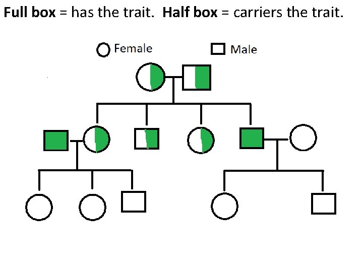 Full box = has the trait. Half box = carriers the trait. Full box = has the trait. Half box = carriers the trait.