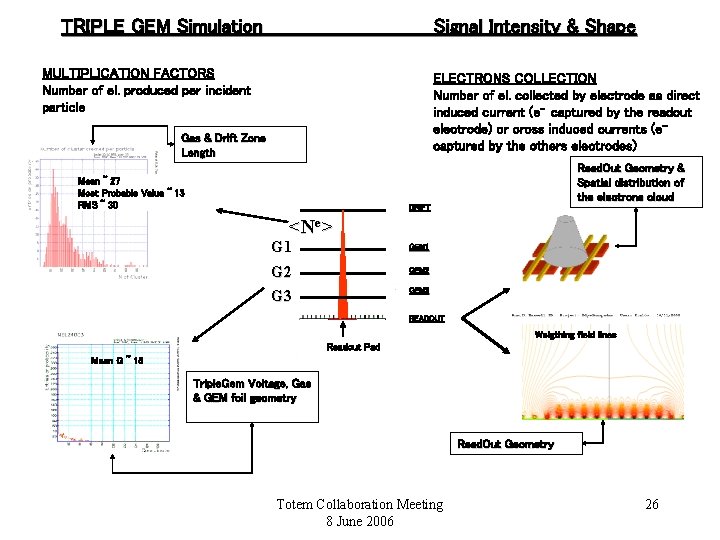 TRIPLE GEM Simulation Signal Intensity & Shape MULTIPLICATION FACTORS Number of el. produced per