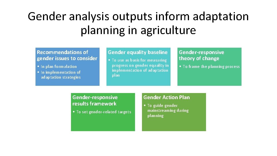 Gender analysis outputs inform adaptation planning in agriculture Recommendations of gender issues to consider