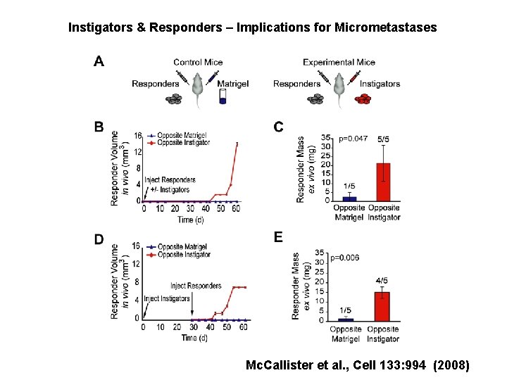 Instigators & Responders – Implications for Micrometastases Mc. Callister et al. , Cell 133: