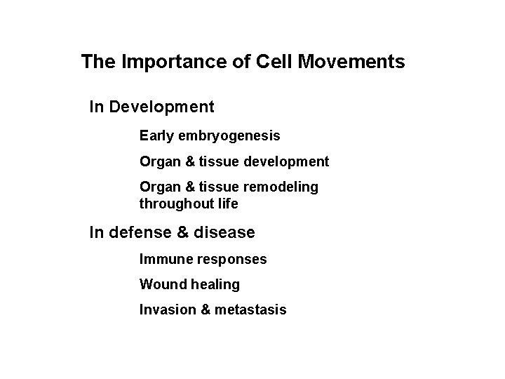 The Importance of Cell Movements In Development Early embryogenesis Organ & tissue development Organ