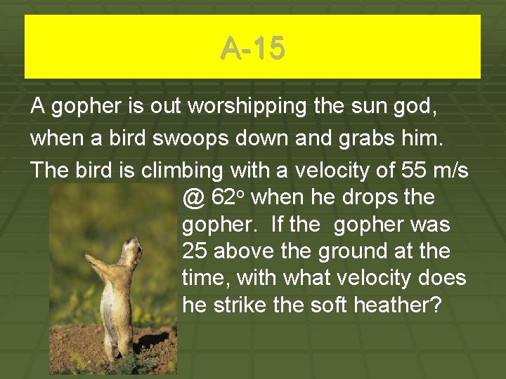 A-15 A gopher is out worshipping the sun god, when a bird swoops down