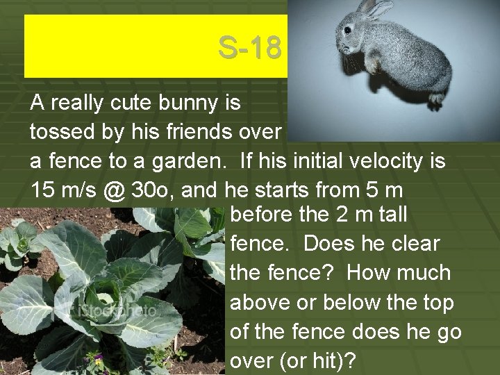 S-18 A really cute bunny is tossed by his friends over a fence to