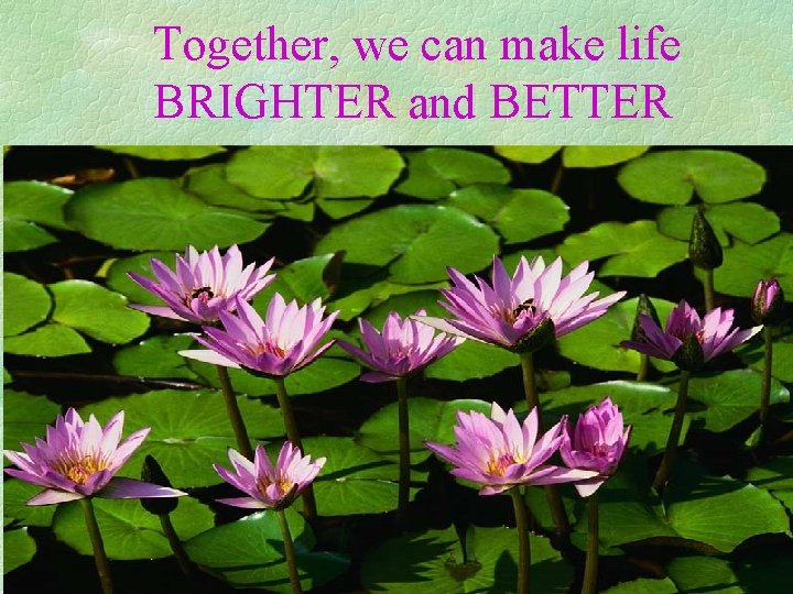 Together, we can make life BRIGHTER and BETTER 
