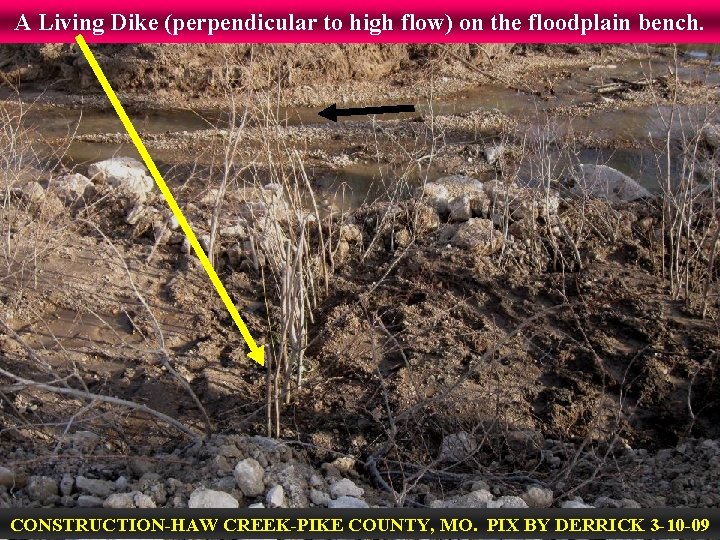 A Living Dike (perpendicular to high flow) on the floodplain bench. CONSTRUCTION-HAW CREEK-PIKE COUNTY,