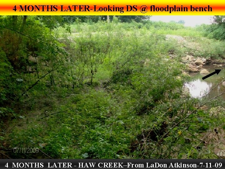 4 MONTHS LATER-Looking DS @ floodplain bench 4 MONTHS LATER - HAW CREEK–From La.