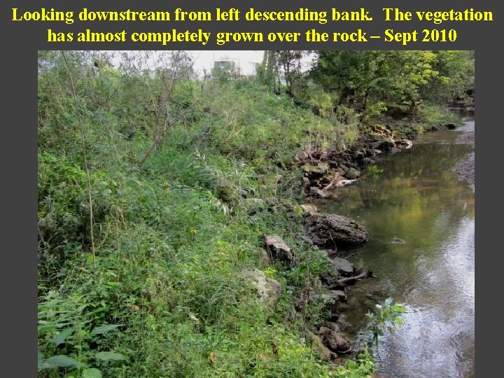 Looking downstream from left descending bank. The vegetation has almost completely grown over the