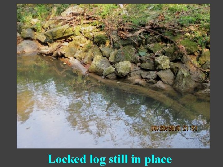Locked log still in place 