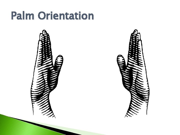 Palm Orientation 
