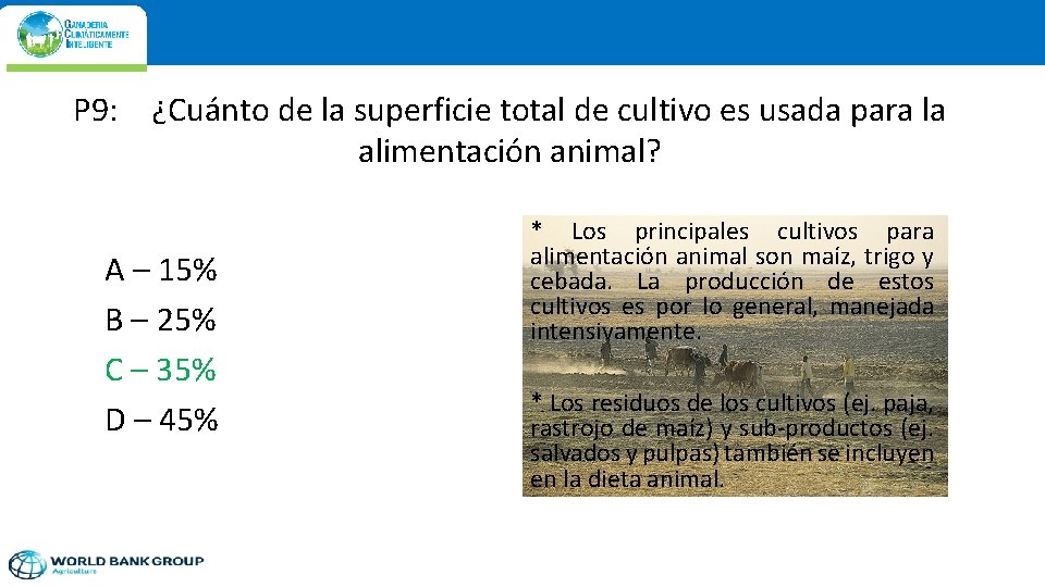 P 9: ¿Cuánto de la superficie total de cultivo es usada para la alimentación